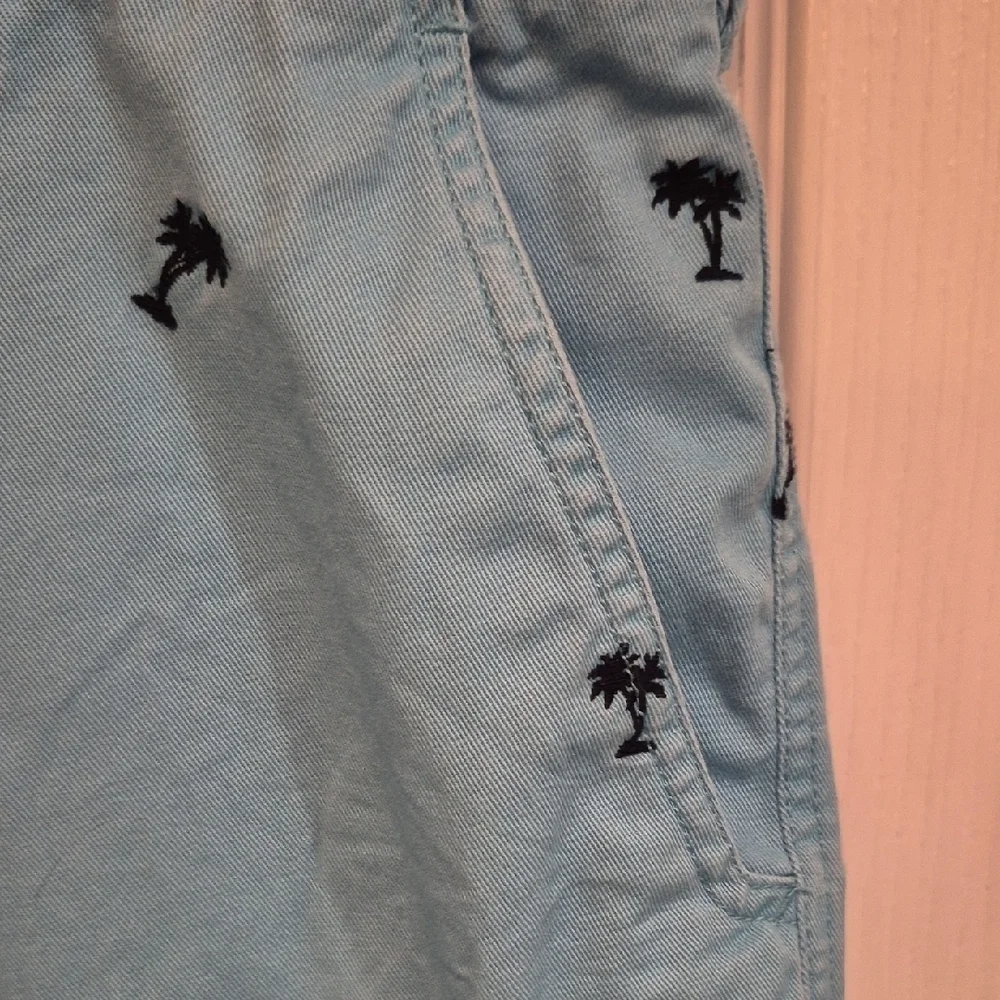 Izod Blue Shorts with Palm Tree Design In Size 38 With 9 Inch Inseam